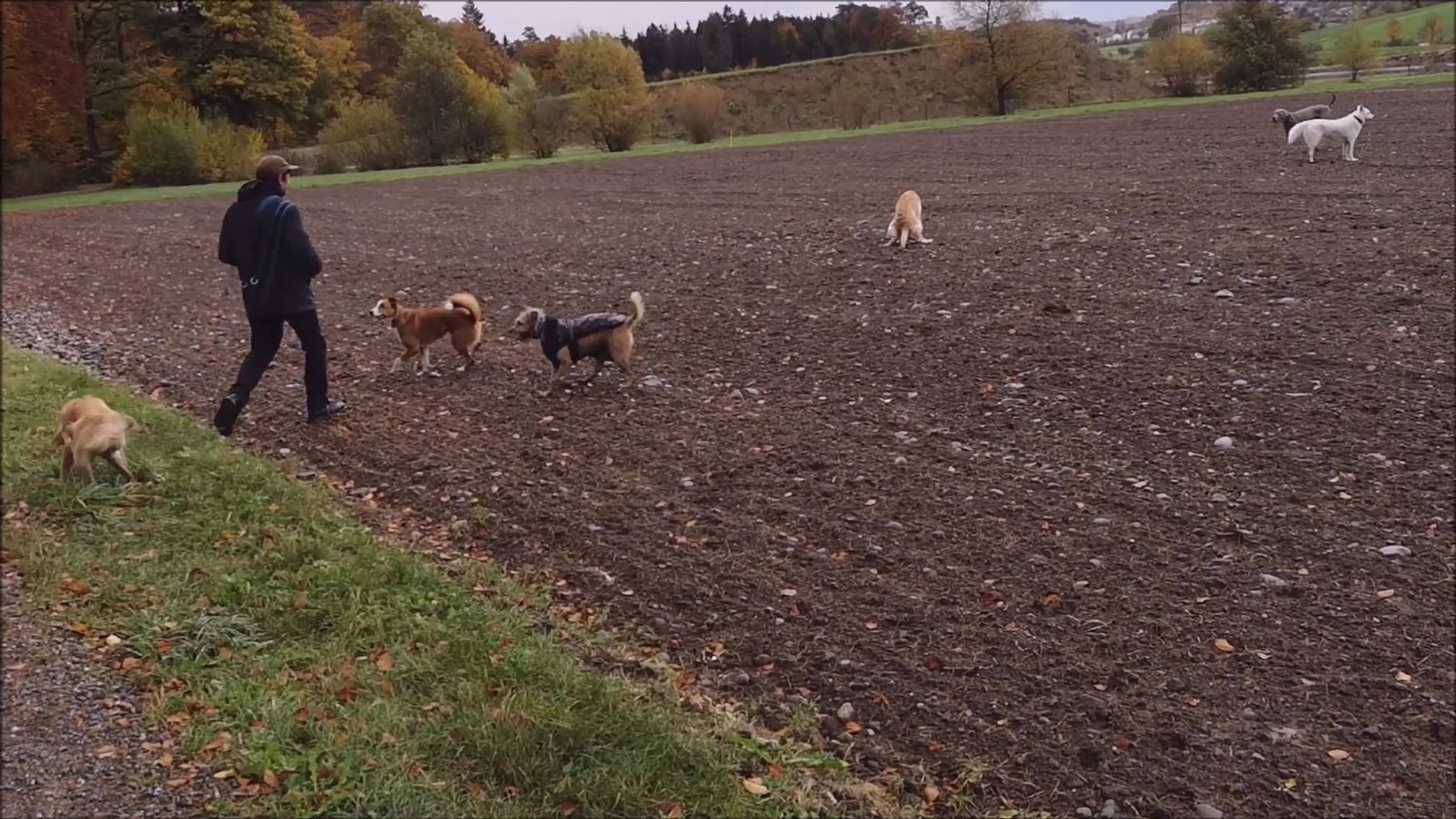Spaziergang